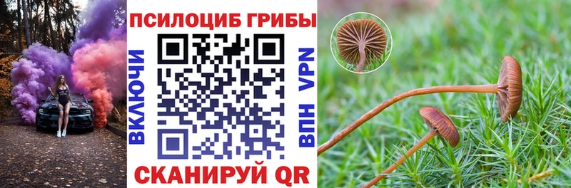 Купить где  Николаевск  Галлюциногенные грибы MAGIC MUSHROOMS 